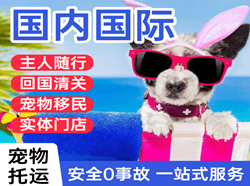 海口航空物流国际宠物托运 【国